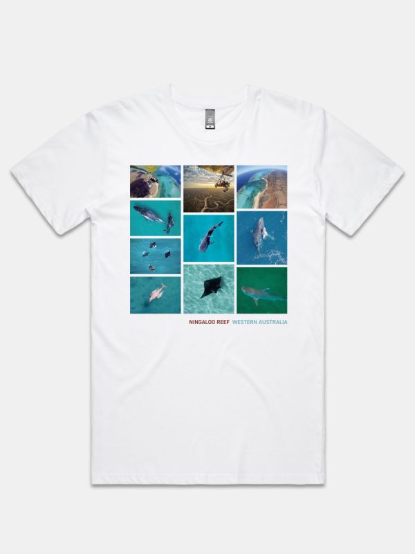Men Wild Life White